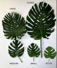 Load image into Gallery viewer, Petite Monstera Leaves - Wholesale - 48LongStems.com
