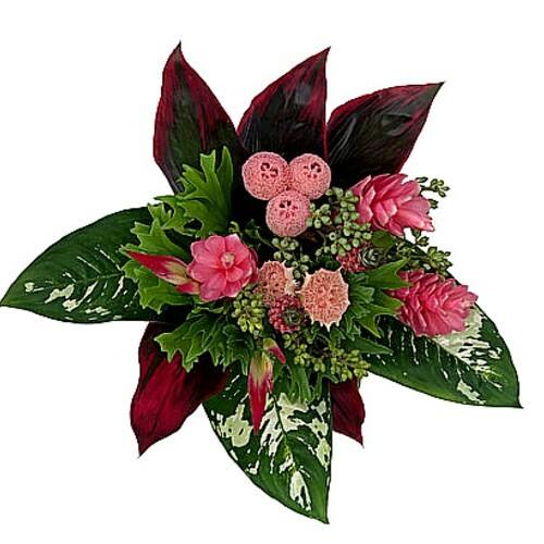 Pink Anana Large Tropical Bouquet - 48LongStems.com