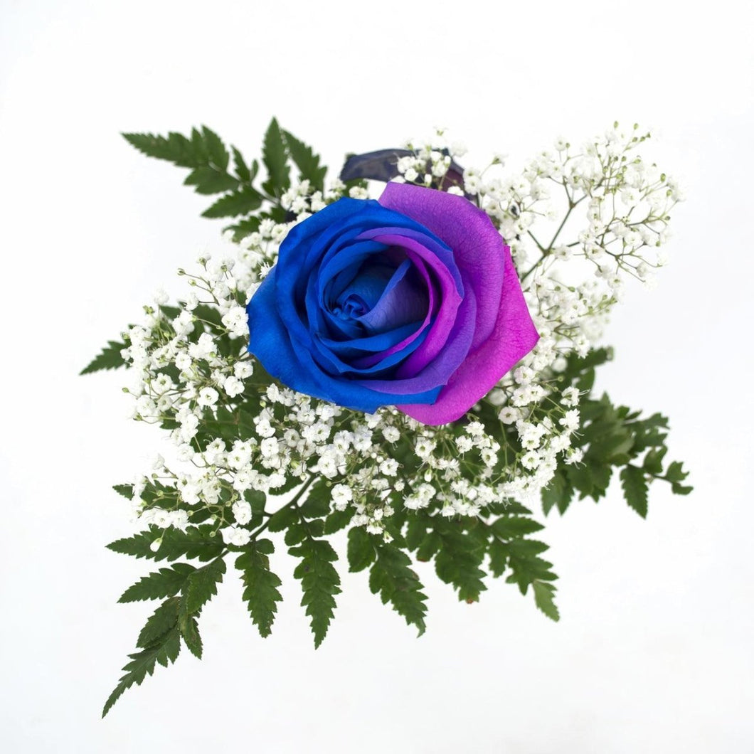 Pink and Blue Dyed Rose Bouquet 1-Stem - 48LongStems.com
