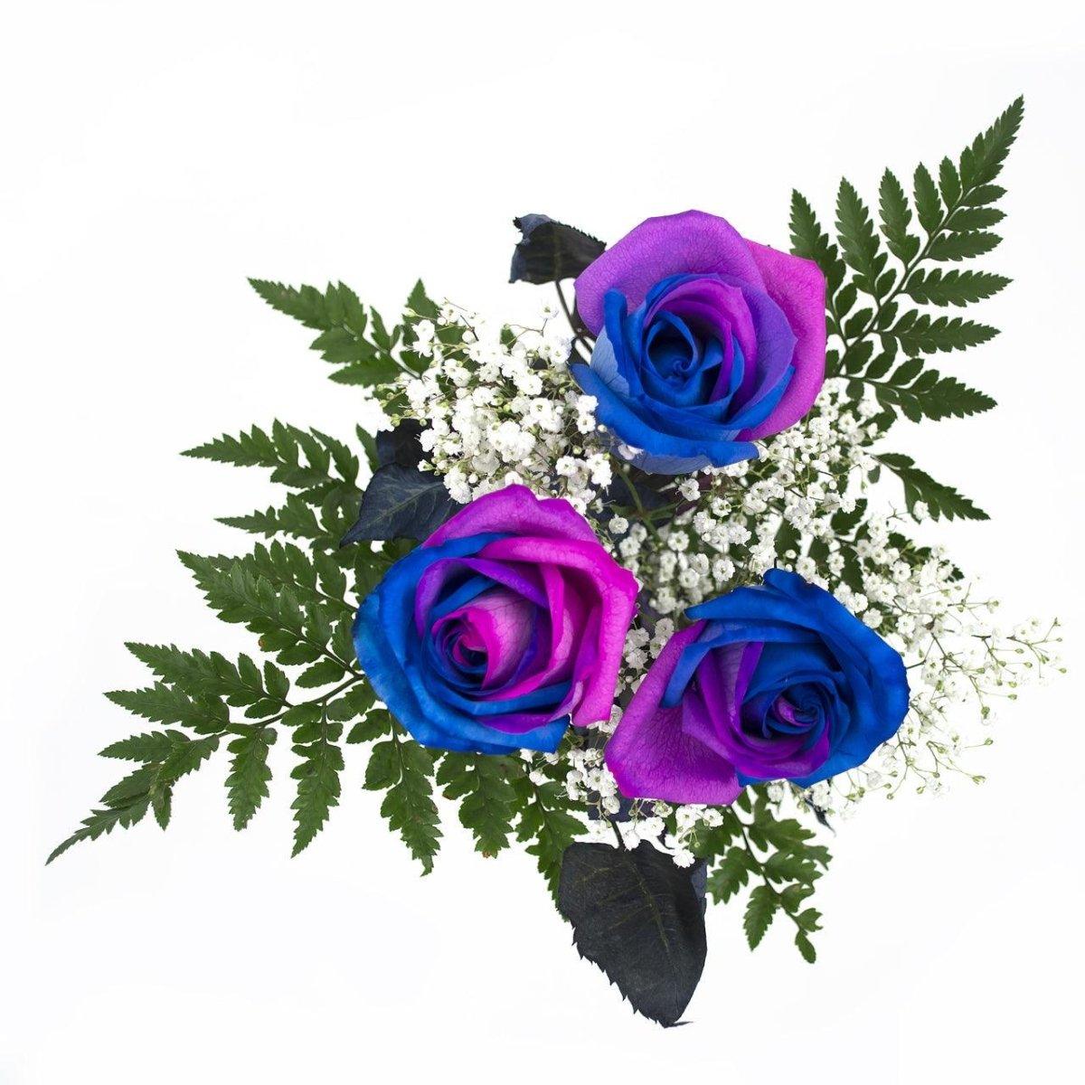 Pink and Blue Dyed Rose Bouquet 3-Stem | pink and blue roses ...