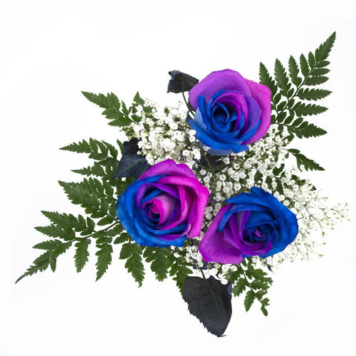 Pink and Blue Dyed Rose Bouquet 3-Stem - 48LongStems.com