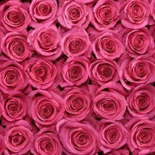Load image into Gallery viewer, Pink Floyd Pink Roses Wholesale - 48LongStems.com
