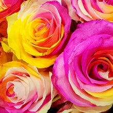 Load image into Gallery viewer, Pink, Yellow and White Dyed Rose Bouquet 1-Stem - 48LongStems.com
