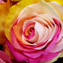 Load image into Gallery viewer, Pink, Yellow and White Dyed Rose Bouquet 3-Stem - 48LongStems.com

