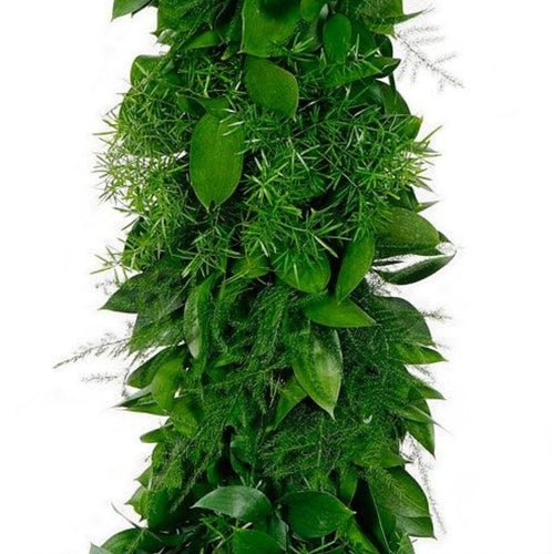 Plumosa Fern, Sprengeri Fern and Israeli Ruscus Mixed Greens Fresh Garland - 48LongStems.com