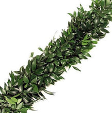 Load image into Gallery viewer, Podocarpus Nagi Fresh Green Garland - 48LongStems.com
