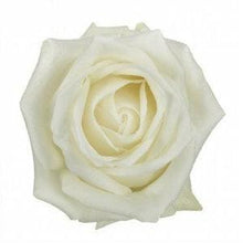 Load image into Gallery viewer, Polar Star White Roses Wholesale - 48LongStems.com
