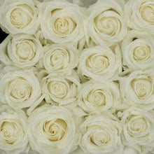 Load image into Gallery viewer, Polar Star White Roses Wholesale - 48LongStems.com
