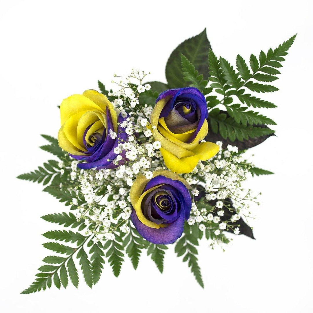 Purple and Yellow Dyed Rose Bouquet 3-Stem – 48LongStems.com