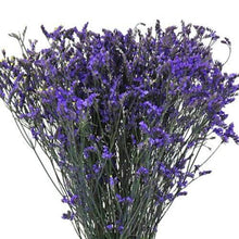 Load image into Gallery viewer, Purple Tinted Limonium - 48LongStems.com

