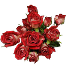 Load image into Gallery viewer, Red Hero Bi-Color Red Spray Rose - 40cm - 48LongStems.com
