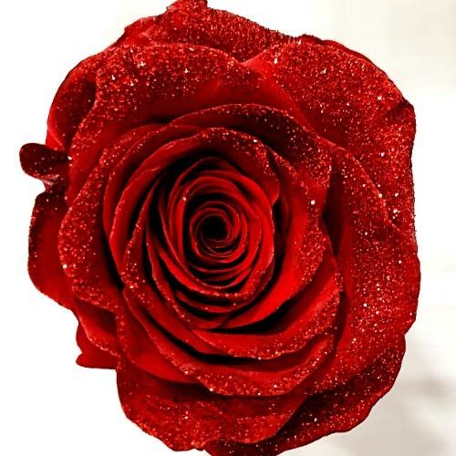 Red Rose Bouquet with Red Glitter 1-Stem - 48LongStems.com