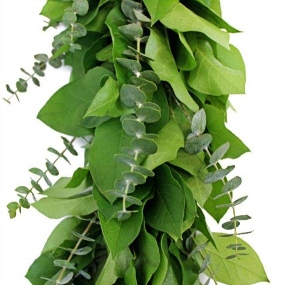 Salal and Baby Blue Eucalyptus Fresh Garland - 48LongStems.com