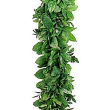 Salal and Italian Ruscus Fresh Garland - 48LongStems.com