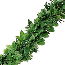 Load image into Gallery viewer, Salal and Italian Ruscus Fresh Garland - 48LongStems.com
