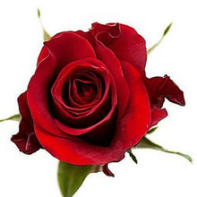 Load image into Gallery viewer, Scarlatta Red Roses - 48LongStems.com
