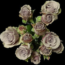 Load image into Gallery viewer, Silver Mikado Lavender Spray Roses - 40cm - 48LongStems.com
