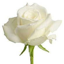 Load image into Gallery viewer, Snowy Jewel White Roses Wholesale - 48LongStems.com
