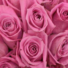 Load image into Gallery viewer, Soulmate Lavender Roses Wholesale - 48LongStems.com
