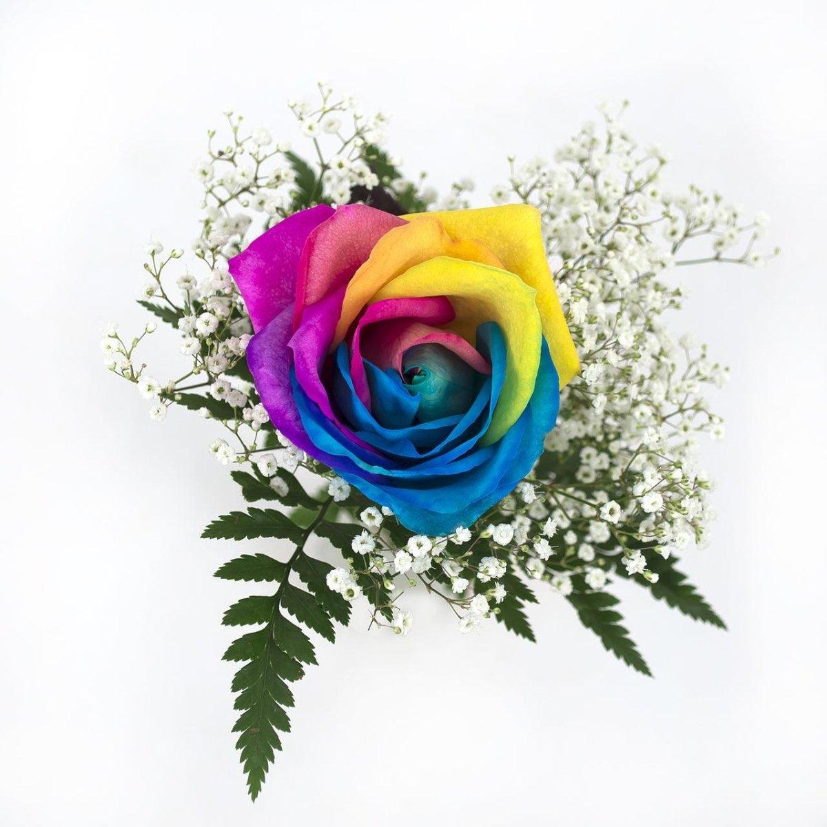Tie Dyed Rainbow Rose Bouquet test environment - 48LongStems.com