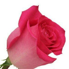 Load image into Gallery viewer, Topaz Pink Roses Wholesale - 48LongStems.com
