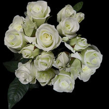 Load image into Gallery viewer, Viviane White Spray Roses - 40cm - 48LongStems.com
