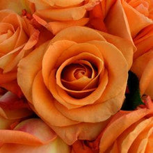 Load image into Gallery viewer, Voodoo Orange Roses Wholesale - 48LongStems.com
