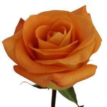 Load image into Gallery viewer, Voodoo Orange Roses Wholesale - 48LongStems.com
