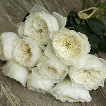 Load image into Gallery viewer, White Cloud Garden Roses Wholesale - 48LongStems.com
