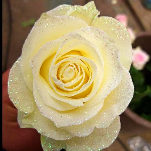 White Rose Bouquet with Clear Glitter 1-Stem - 48LongStems.com