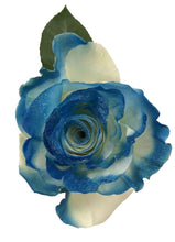 Load image into Gallery viewer, White Rose Bouquet with Dark Blue Glitter 1-Stem Rose - 48LongStems.com
