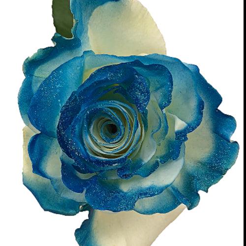 White Rose Bouquet with Dark Blue Glitter 12-Stem - 48LongStems.com