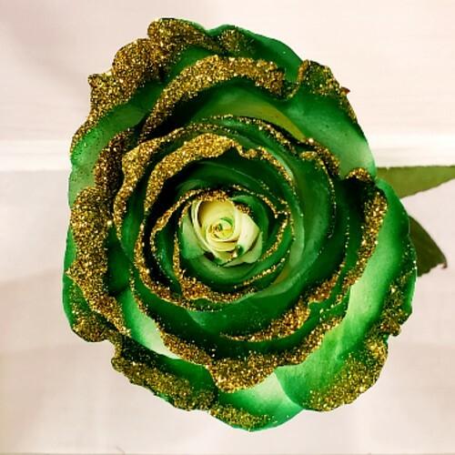 White Rose Bouquet with Dark Green Paint and Gold Glitter 1-Stem - 48LongStems.com