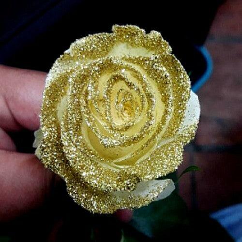 White Rose Bouquet with Gold Glitter 1-Stem - 48LongStems.com