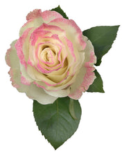 Load image into Gallery viewer, White Rose Bouquet with Light Pink Glitter 1-Stem - 48LongStems.com
