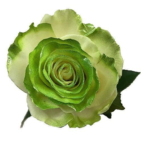 White Rose Bouquet with Lime Green Glitter 1-Stem - 48LongStems.com