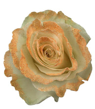 Load image into Gallery viewer, White Rose Bouquet with Peach Glitter 1-Stem - 48LongStems.com
