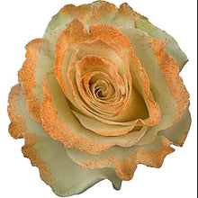 Load image into Gallery viewer, White Rose Bouquet with Peach Glitter 1-Stem - 48LongStems.com
