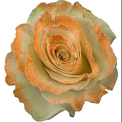 White Rose Bouquet with Peach Glitter 1-Stem - 48LongStems.com