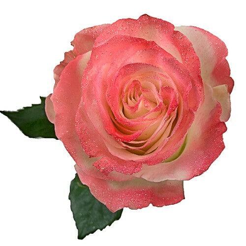 White Rose Bouquet with Salmon Glitter 1-Stem - 48LongStems.com