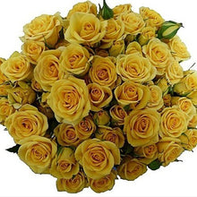 Load image into Gallery viewer, Yellow Babe Yellow Spray Rose - 40cm - 48LongStems.com
