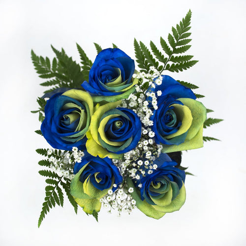 Yellow, Green and Blue Dyed Rose Bouquet 6-Stem - 48LongStems.com